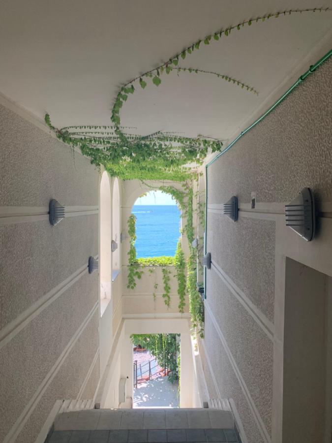 Sound Of The Sea Apartment Свети-Стефан Экстерьер фото